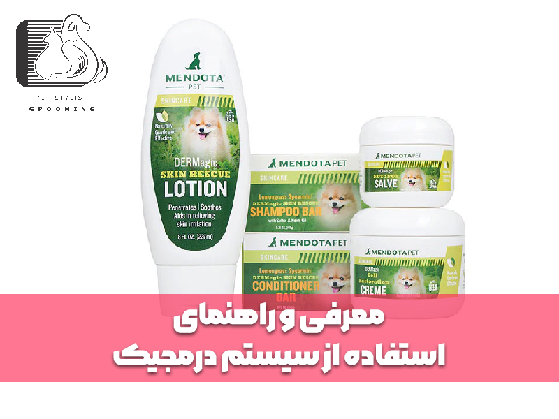 معرفی و راهنمای استفاده از سیستم درمجیک